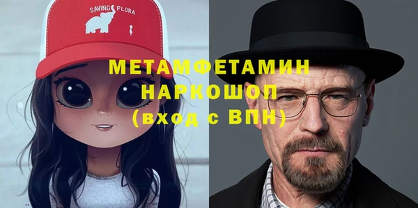 прущие грибы Аркадак