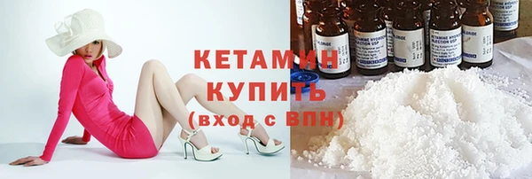 прущие грибы Аркадак
