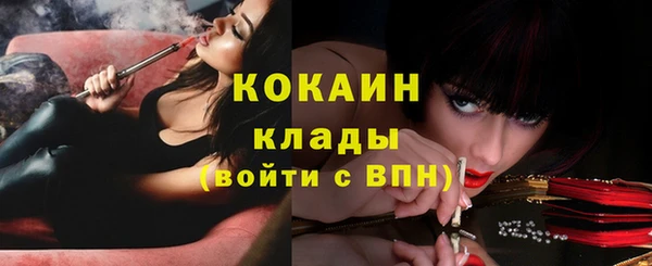 прущие грибы Аркадак