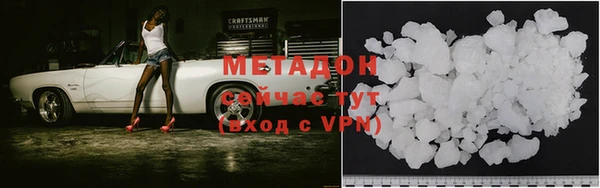 прущие грибы Аркадак