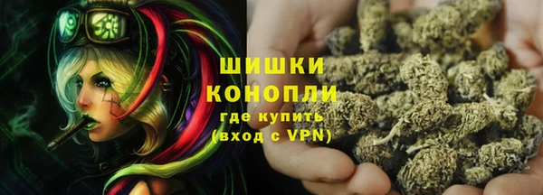 прущие грибы Аркадак